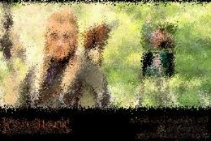 metin2 cheats um monster anzulocken