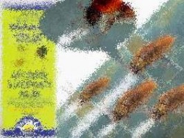 spaceinvasion avatar