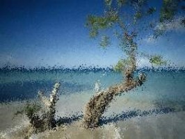 flash game erstellen