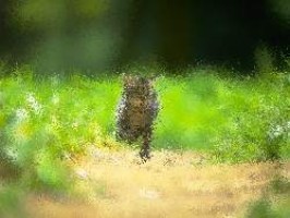 moorhuhn gratis download