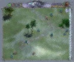 gardenscapes crack